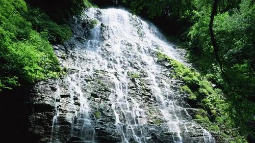 高端独特精密